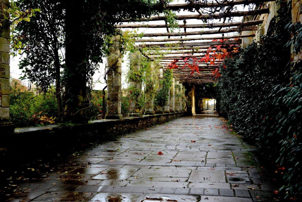 a stone walkway with a pergolated arbor and red flowers